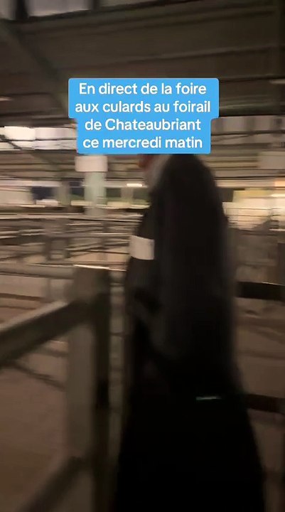 En direct de la foire aux culards de printemps