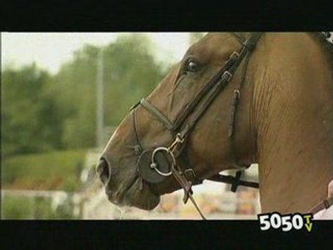 CHEVAL CHEVAL magazine équestre en Normandie juin 2008