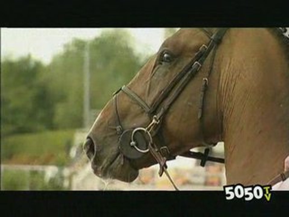 CHEVAL CHEVAL magazine équestre en Normandie juin 2008