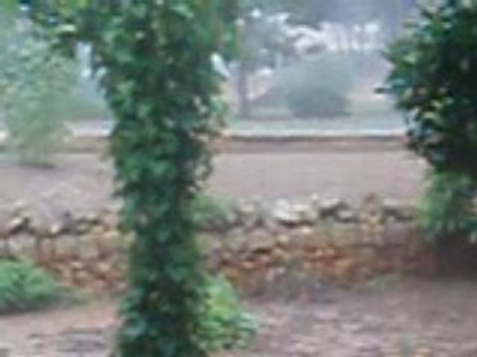 11/06/08  tiempo