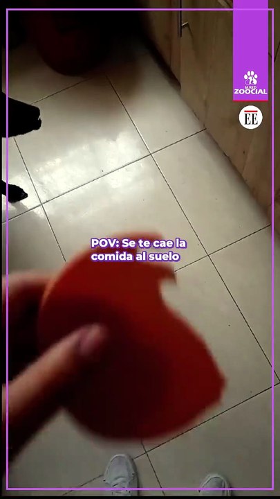 Me equivoqué de papelera