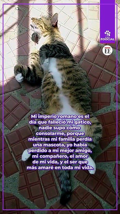 Mi mundo se derrumbó a pedazos