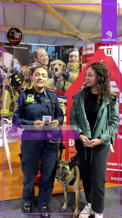 Salvando Patas En Bogotá