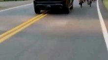 Un automobiliste renverse délibérément des cyclistes aux États-Unis