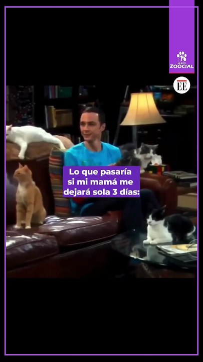 Así sería mi casa soñada