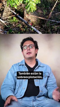 Alerta ambiental: estas poblaciones de animales silvestres disminuyeron en un 73 %