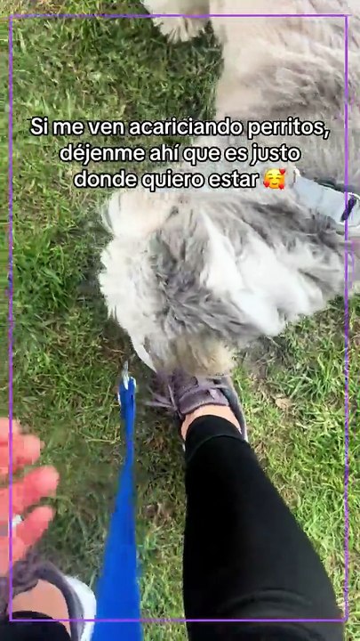 Es donde quiero estar