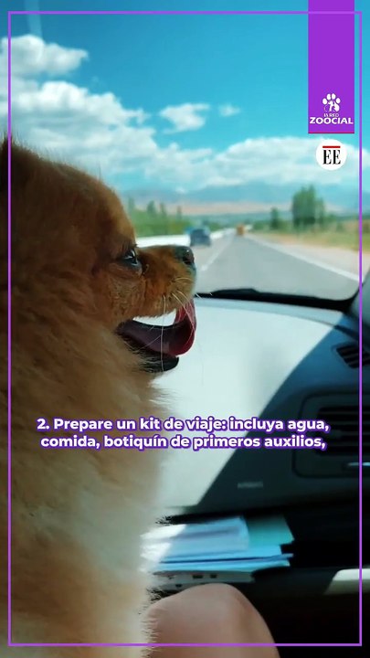Viajar con su perro