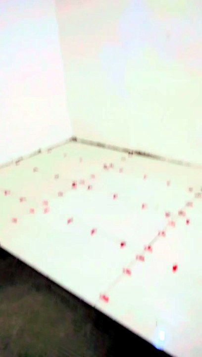 1000045338