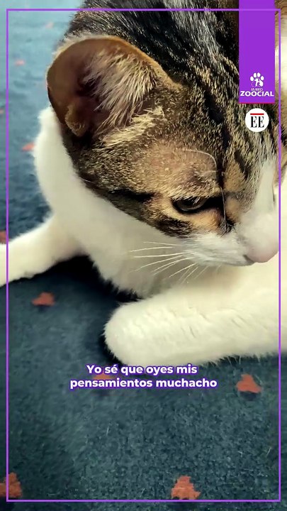 Sé Que Me Escuchas