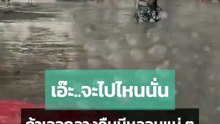 แทบหลอน.. ดีนะเจอตอนกลางวัน