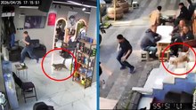 Erkek kuaföründe kedi kovaladı müşteriler kaçtı!
