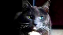 Video Upload test via API - 2026-04-29 09:22