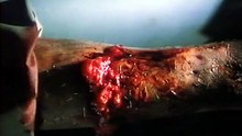 Ravager – Die Virusfalle