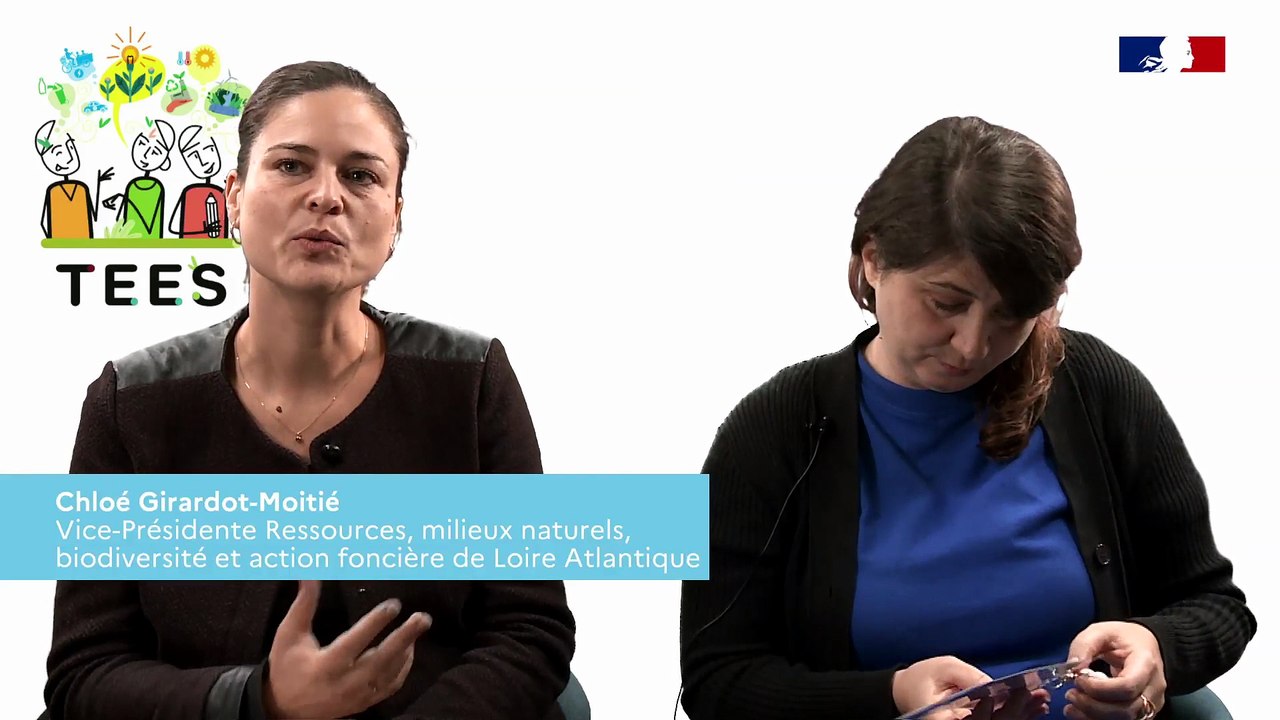 Colloque TEES 2023 I Atelier n°7 : La transition, une affaire de temporalités ?
