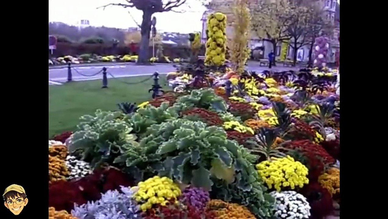 decoration d'autonne