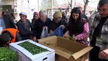 Atakumlu çiftçiye 100 bin adet sebze fidesi