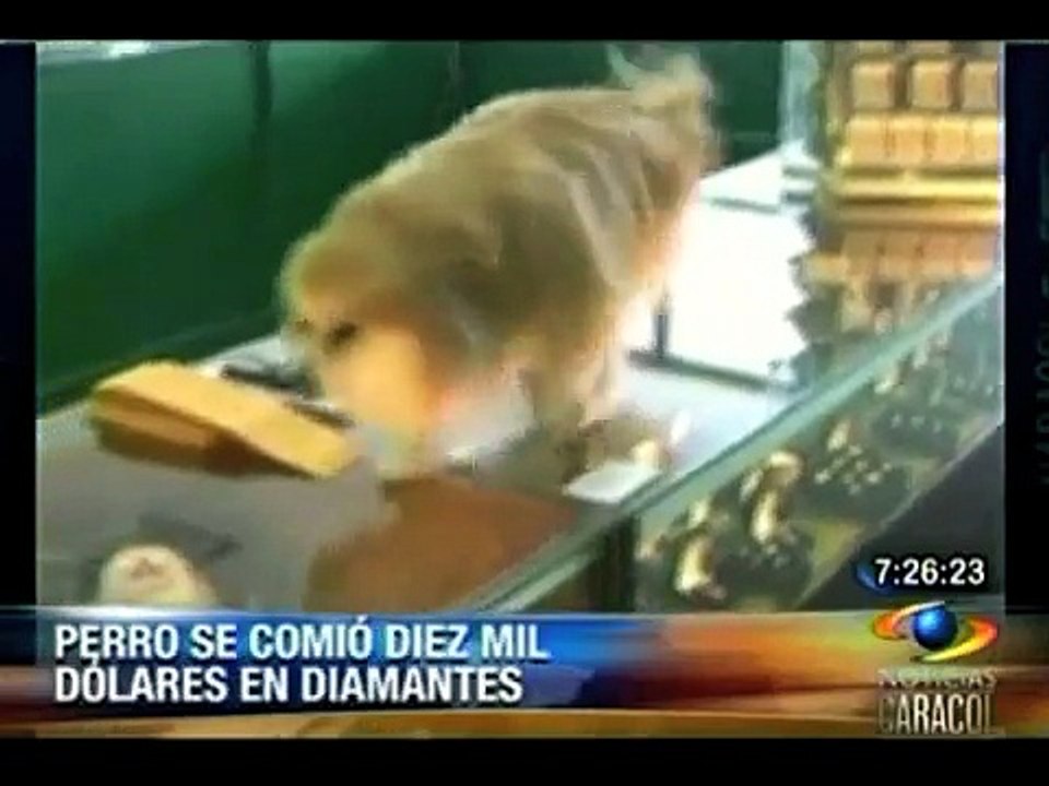 Millonaria cena