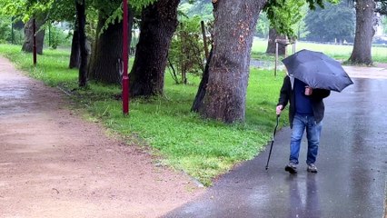 Sorbiers : 47 cochons d'Inde abandonn&eacute;s et sauv&eacute;s par la SPA