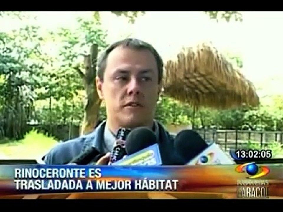 Traslado de rinoceronte