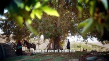 Ceyran (2)