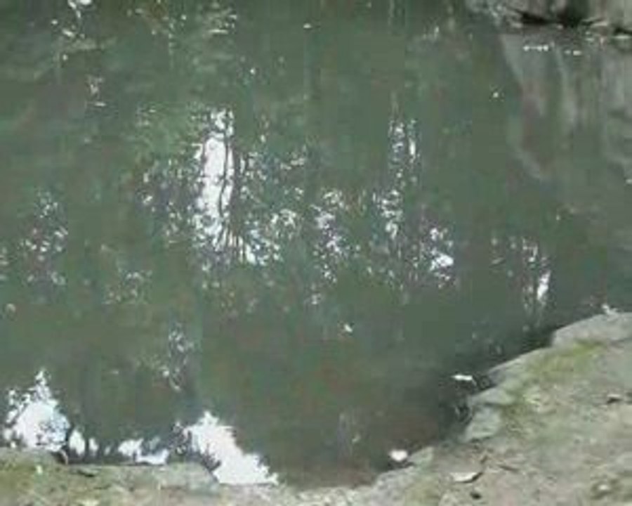 Le tueur et les 3 folles (pub heinz ketchup)