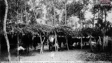 Historical Photos of the Russo-Japanese War (9)