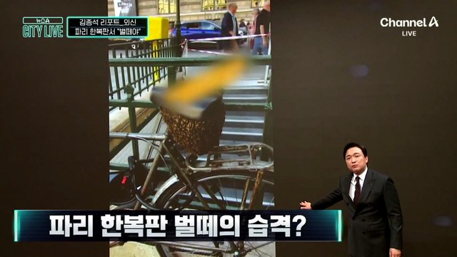 [김종석의 리포트]파리 한복판 벌떼의 습격?