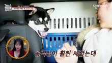 "살려주세요" 목숨 건 드라이브?! 시한폭탄 '흑미'의 살벌한 입질 사태;