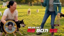 "손가락이 없어도 생명에 지장이 가진 않잖아" 개에게 물려도 손을 바로 빼지 않는 보호자?!