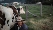 Tierra sin hijos: este municipio de Colombia puede desaparecer por falta de nacimientos