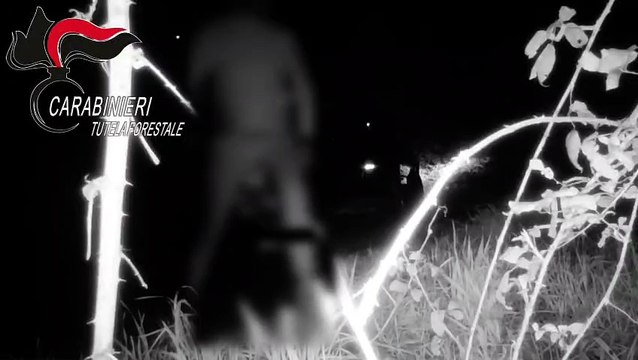 Rifiuti abbandonati a Iseo: il video