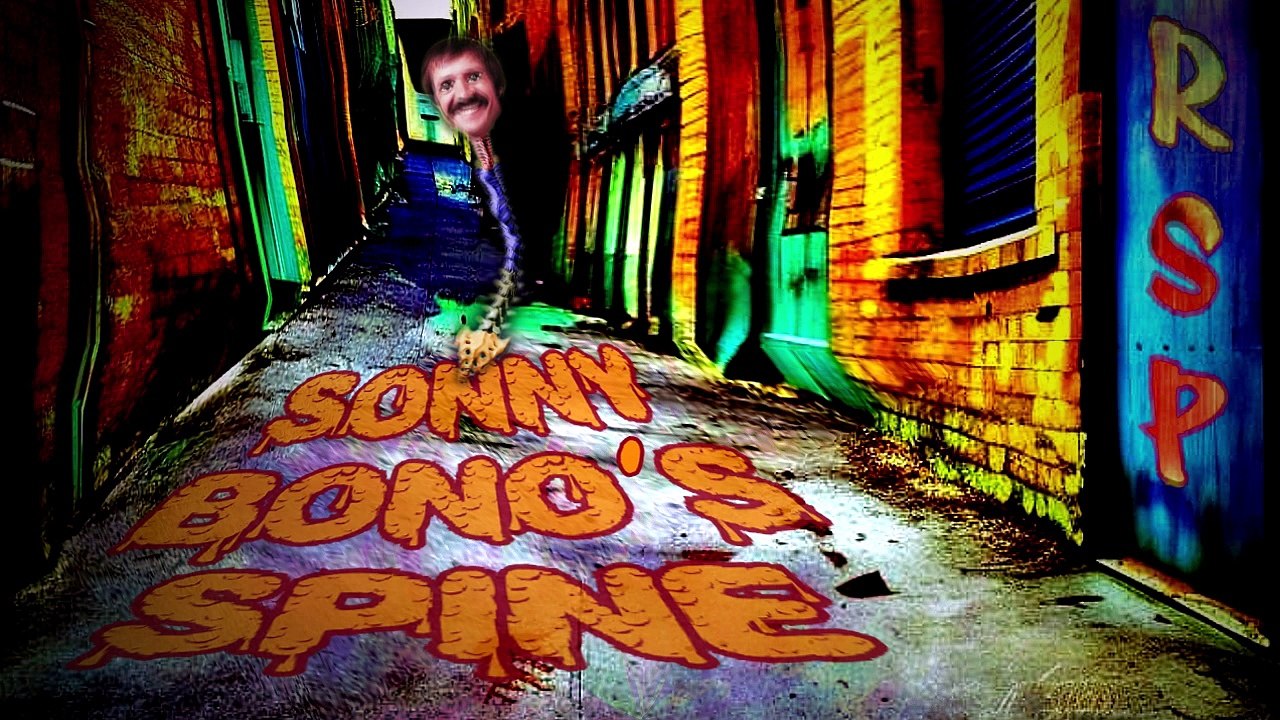The Rudy Schwartz Project - Sonny Bono's Spine