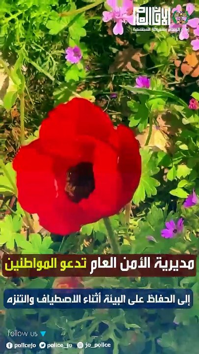 الأمن العام يتمنى للجميع عطلة نهاية أسبوع ممتعة ويدعو للحفاظ على البيئة خلال التنزه
