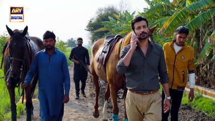 Mirza Ki Heer | Ep 7 | Hina Afridi | Ali Raza | Zahid Ahmed | 29 April 2026 | ARY Digital