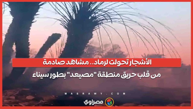 الأشجار تحولت لرماد.. مشاهد صادمة من قلب حريق منطقة مصيعد بطور سيناء