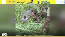 പൊലീസ്​ കസ്റ്റഡിയിൽ നിന്ന്​ രക്ഷപ്പെട്ട മോഷണക്കേസ് പ്രതി പിടിയിൽ...