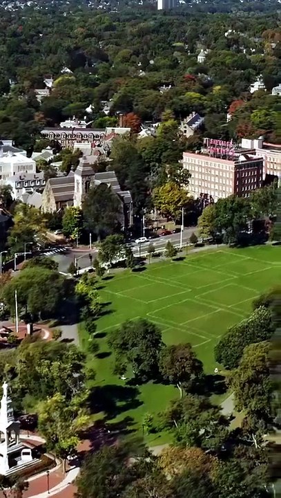 Oops ich hatte die Präsidenten Wolf Babies | Ganzer Film Deutsch