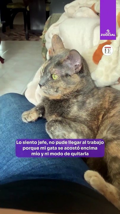 No puedo levantarla