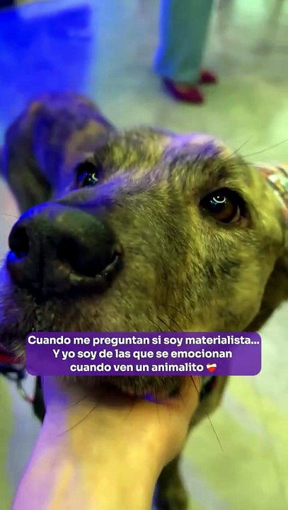 No soy materialista