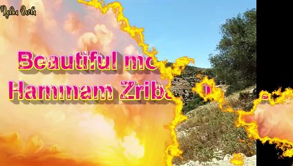 Beautiful mountains in Hammam Zriba, Tunisia 🌸