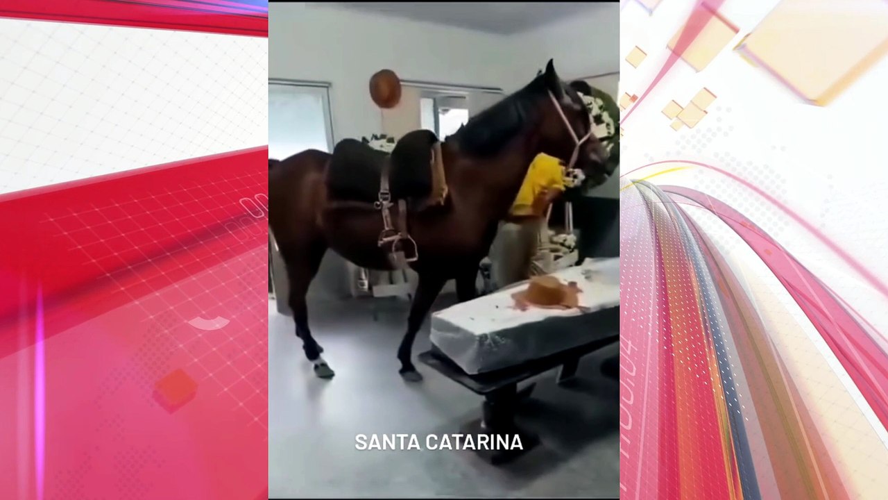 Égua relincha ao ver seu seu dono sendo velado no caixão e vídeo emociona; veja
