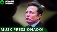 OpenAI confronta Musk e revela plano de usar a Tesla como “vaca leiteira”