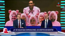Lilly Téllez se refiere a los morenistas | Qué Importa