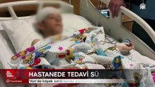 Van’da köpek saldırısında yaralanan çocuk yaşadıklarını anlattı