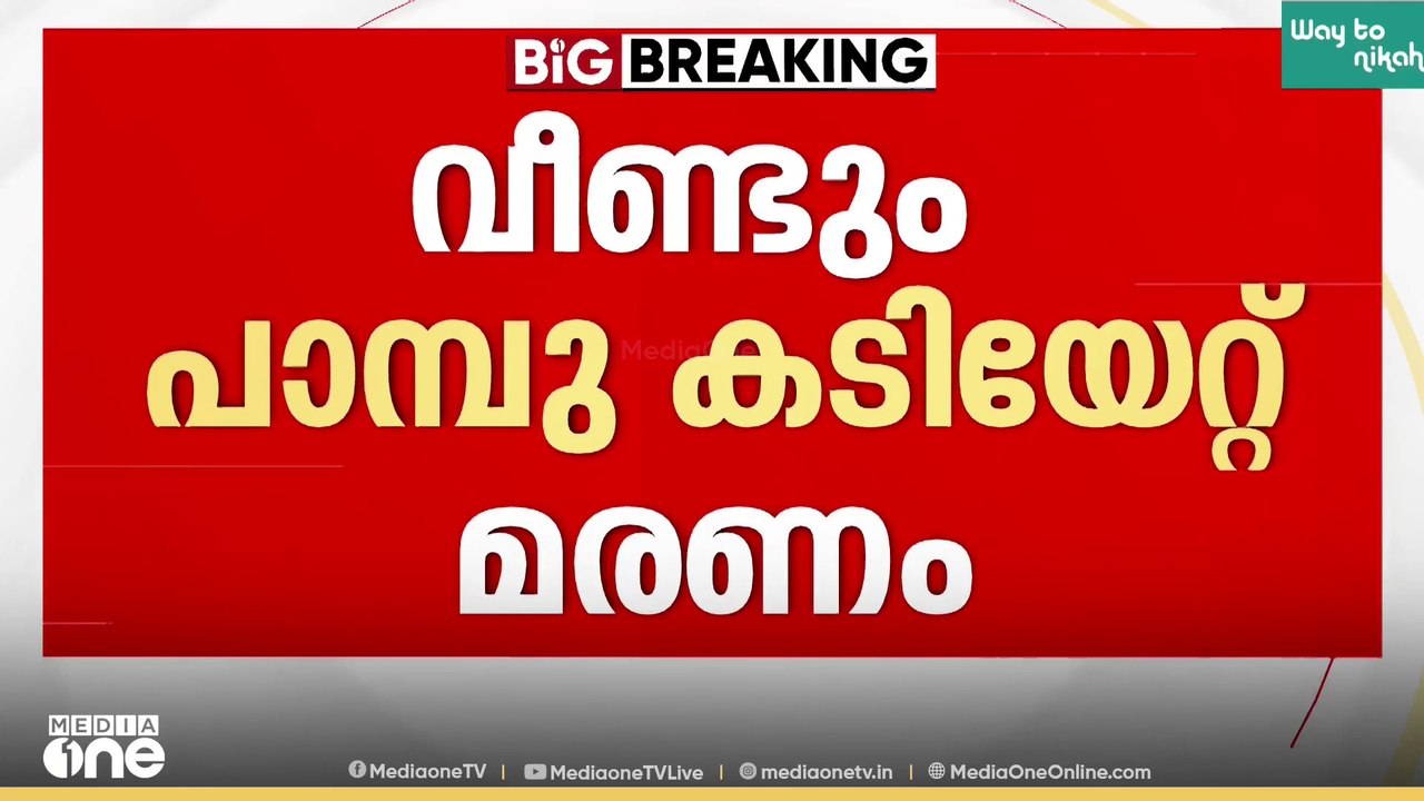കാസർകോട് പാമ്പ് കടിയേറ്റ് ചികിത്സയിലായിരുന്ന നാ...