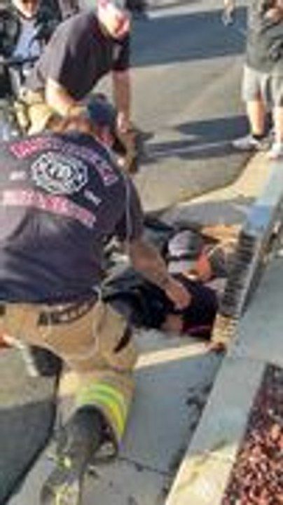 Firefighters Rescue Ducklings From Large Drain