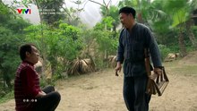 Khi Đàn Chim Trở Về - Tập 31