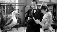 Sherlock Holmes B&W The Adventures of (1939)