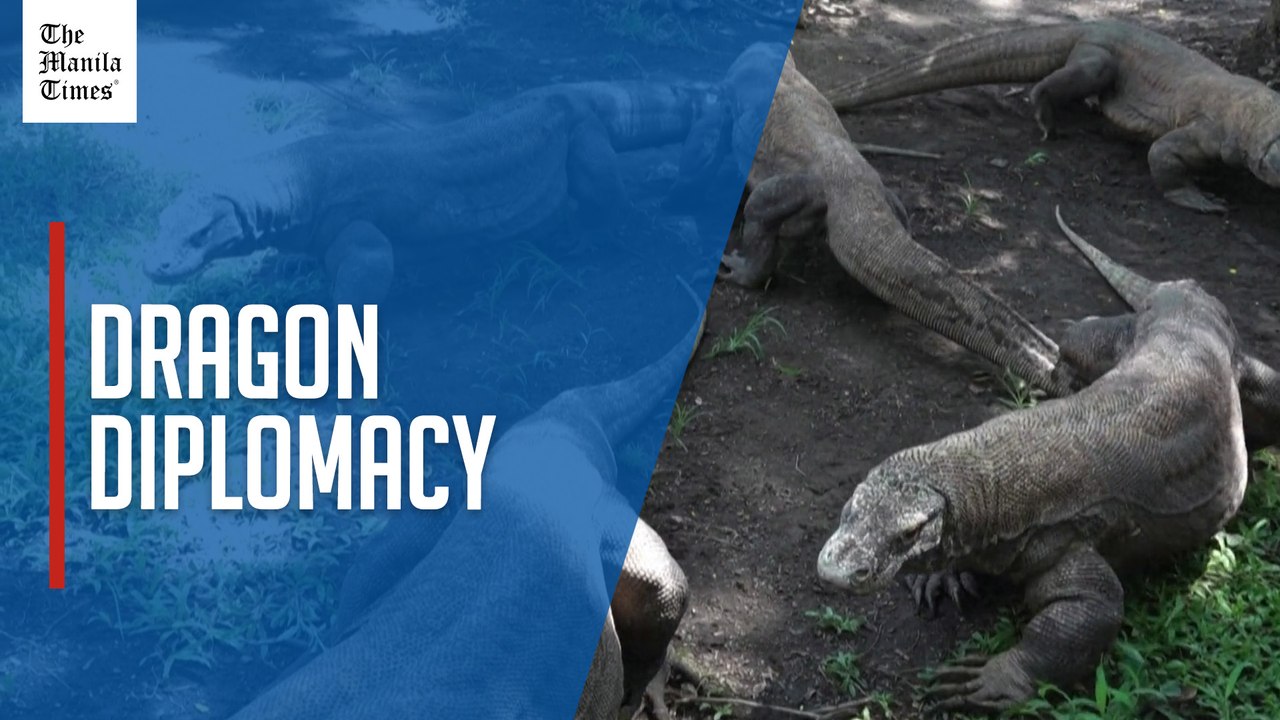 Indonesia lends Komodo lizard pair to Japan zoo
